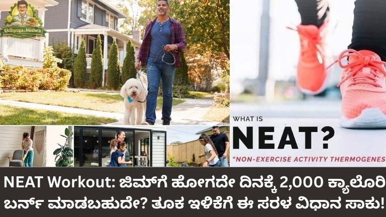 NEAT Workout